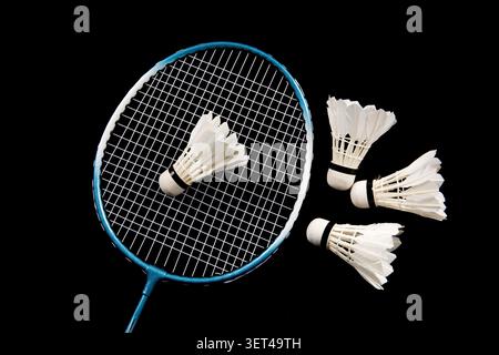 Badminton racket and multiple shuttlecocks arranged on a clean black background Stock Photo