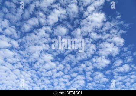 A vast expanse of the sky is filled with numerous small, puffy white clouds, creating a beautiful natural pattern against the deep blue Stock Photo