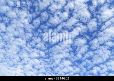 A vast expanse of the sky is covered with scattered, puffy white clouds against a vibrant blue backdrop, suggesting fair weather conditions Stock Photo