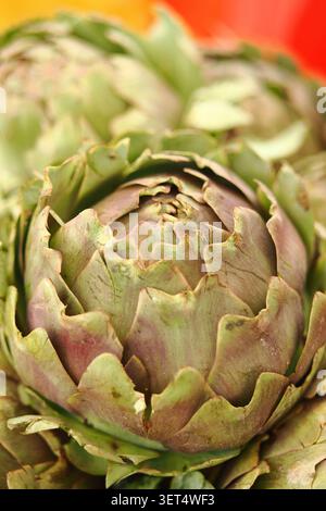 Fresh artichokes close up on display at market stand Stock Photo