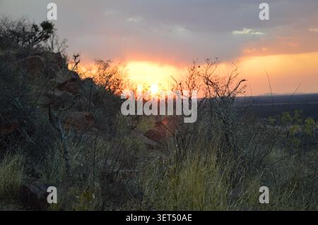 The golden sun sets behind silhouette thorny bushes and dry grass on a rocky hill slope under dramatic orange storm clouds in rural Namibia. Stock Photo
