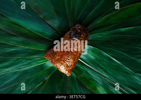 The outer reed leaves are removed, presenting a full fresh meat rice dumpling. Stock Photo