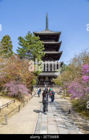 Visitors walk along a wooden path by the river Stock Photo - Alamy