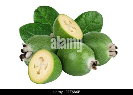 Feijoa fruit isolated on white background Stock Photo