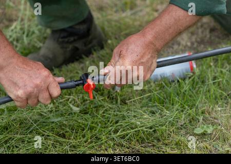 Close up of hands connecting drip irrigation tubing with a shut off valve during garden irrigation system installation. The image illustrates irrigati Stock Photo
