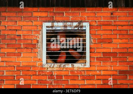 Industrial ventilation fan behind metal grid on red brick wall, urban infrastructure and ventilation system detail, selective focus Stock Photo