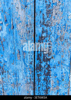 Background of Shabby Weathered Wooden Planks with Peeling Blue Paint in Vertical Orientation. Stock Photo
