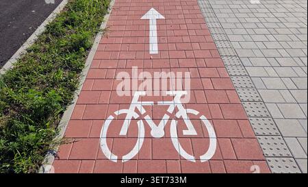 An eye level perspective of a red interlocking brick bike track marked with a stenciled white bicycle icon and direction arrow next to a grey Stock Photo