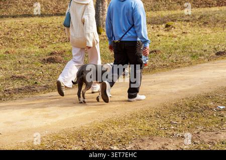 Low angle view of two people in casual spring clothes strolling with their dog on a dirt road in a sunny park landscape. Stock Photo