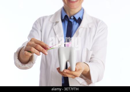 Focused female dentist using toothbrushes on a large white tooth model to illustrate proper cleaning techniques for oral health and prevention. Stock Photo