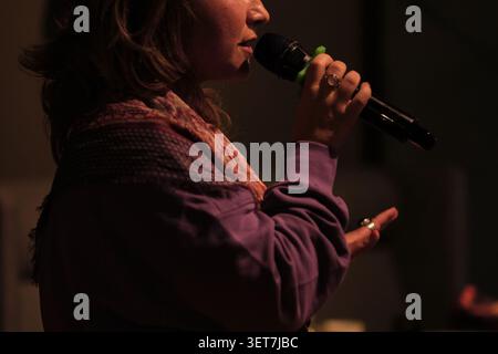 Low light side portrait of a female speaker holding a microphone and checking notes on her phone during an evening event. Presentations, coaching, and Stock Photo