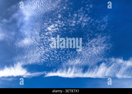 Altocumulus clouds drift above wispy cirrus,clouds creating a striking layered pattern against a brilliant blue summer sky. Stock Photo