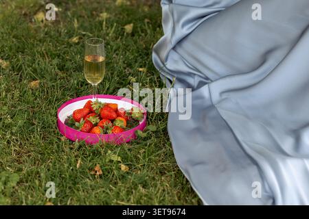 A person sits on grass with a soft blanket. They have a plate of strawberries and a glass of sparkling drink. It is a sunny afternoon and the scene fe Stock Photo