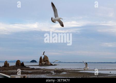 Seagull Flying Over Coastal Rock Formation and Tidal Flats Under Dramatic Cloudy Sky Stock Photo