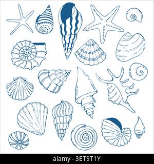 Underwater seashells hand painted line sketch Stock Vector