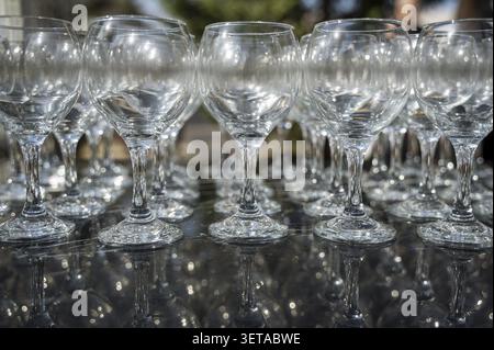 Many empty clean wine glasses on dark background in daylight. Wine glasses, bar, glass, rows, empty glass, transparent, glass. Wine glasses on black b Stock Photo