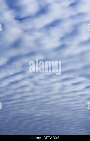 Sky with layered cumulus clouds. Blue background with unusual cloud texture Stock Photo