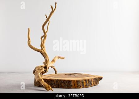 Natural Driftwood Sculpture with Rustic Wooden Base in Minimalist Setting Stock Photo