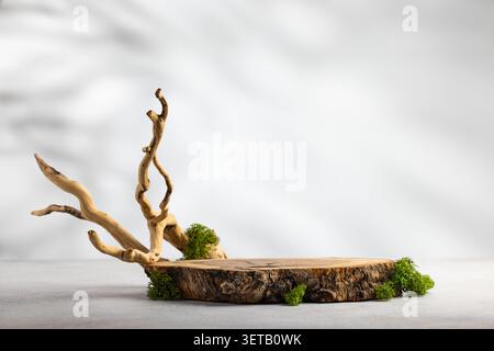 Rustic wood slice podium with twisted branch and moss on soft white studio background for organic product mockup Stock Photo