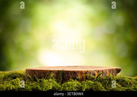 Wooden Tree Stump on Mossy Surface with Blurred Nature Background Stock Photo