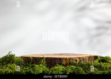 Natural Wooden Pedestal on Moss with Soft Shadows for Eco-Friendly Product Display Stock Photo