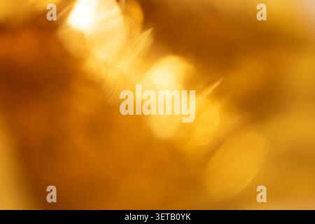Warm Golden Abstract Background with Soft Focus Light Bokeh Stock Photo