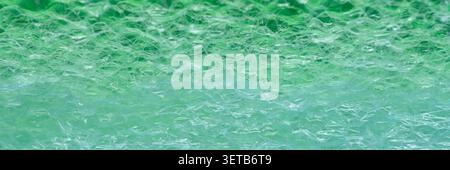 Clear plastic bubble wrap material forming an abstract textured pattern with a vibrant green gradient background. Thailand photography, no generative Stock Photo