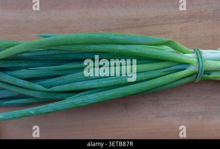 Fresh Green Scallions Bunch on Wooden Table Stock Photo