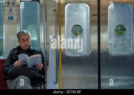Man reading on an Odakyu Line train in rural  Kanagawa, Japan. Stock Photo