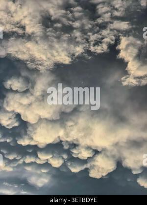 Textured mammatus clouds illuminated by soft evening light. Dramatic weather phenomenon creating an unusual cloudscape pattern. Stock Photo