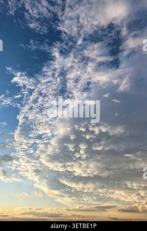 Mammatus cloud formations glowing in warm sunset colors beneath a storm system. Dramatic weather and atmospheric sky background. Stock Photo