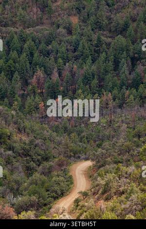 Winding dirt road through a mountain forest Stock Photo