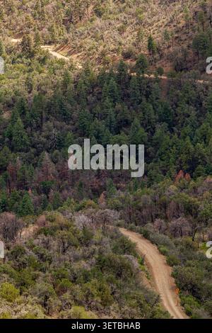 Aerial view of a winding road snaking through the autumn forest and ...
