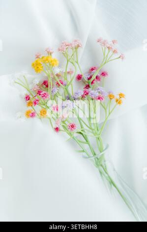 A gentle and aesthetic composition featuring a bouquet of small, vibrant, multi-colored artificial gypsophila flowers Stock Photo