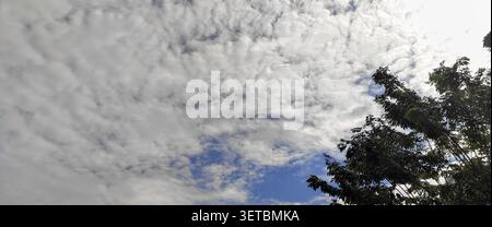 A sweeping altocumulus cloud formation fills the sky above patches of blue, with the dark silhouette of a leafy tree in the upper right corner. Stock Photo