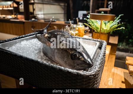 Fresh tuna on crushed ice at Maldives resort seafood display Stock Photo