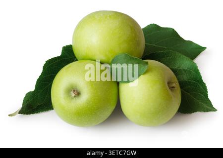 Green apples with leaves on a white background. Three natural apples close-up. Stock Photo