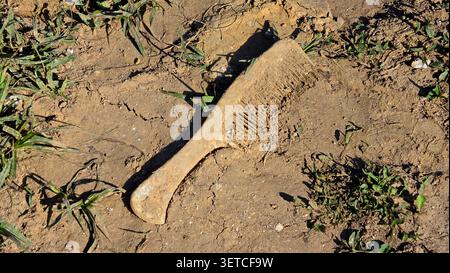 A discarded and dirty plastic comb coated with dried soil lies abandoned on a patch of sun-baked mud and sparse green grass weeds Stock Photo