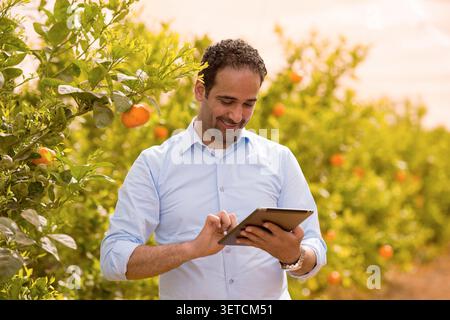 Professional Middle Eastern male agricultural consultant reviewing farm management data on tablet while working alone in sunny citrus orchard ideal Stock Photo