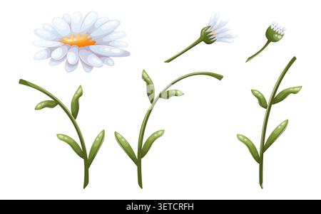 Vector composite set of daisy flower parts Stock Vector