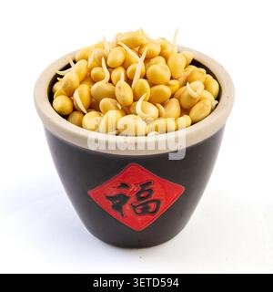 germinated yellow soybeans with tiny sprouts in a black bowl isolated on white background Stock Photo