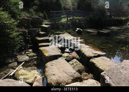 A dam for a lake and a crossing for hikers were built using stone blocks. Stock Photo