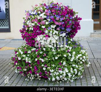 Decorative multi-tiered floral composition of vibrant white, pink, and purple petunias decorating a pedestrian area against a city building. Landscape design and urban greening during the summer season. Stock Photo