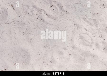 White sand. White sand texture. The use of sand in construction work.  Stock Photo