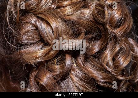 Back view of woman with long hair, faceless portrait background Stock Photo