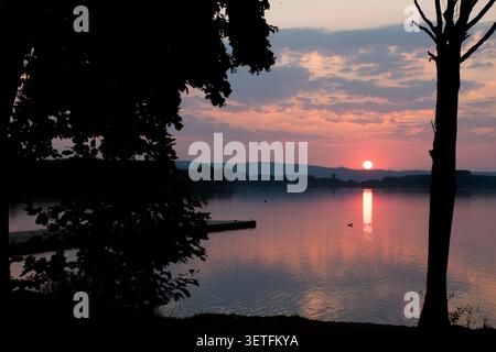 Golden sunset over a calm lake with tall tree silhouettes at the edge of the frame, soft pastel clouds and a bright sun reflection on the water. Stock Photo