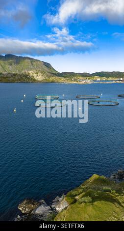 Circular fish farm nets float in pristine blue waters of Lofoten Islands, with dramatic green mountains and small coastal village behind. Stock Photo