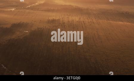 Aerial view captures golden hour over a vast grassy field. Hundreds of people form a long line marching together. Their focused steps create a powerfu Stock Photo