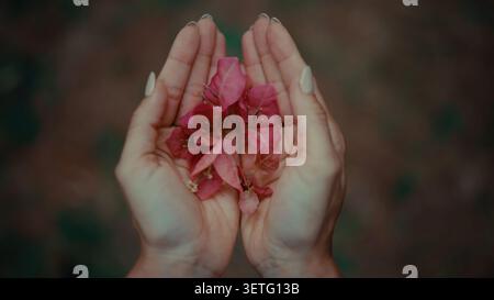 Close-up of two hands cradling delicate pink blossoms.nHands show gentle care and tenderness.nSoft, blurred background emphasizes the flowers.nIdea Stock Photo