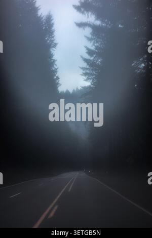 Mysterious Journey Down a Dark and Foggy Highway Winding Through Silhouetted Evergreen Trees Stock Photo